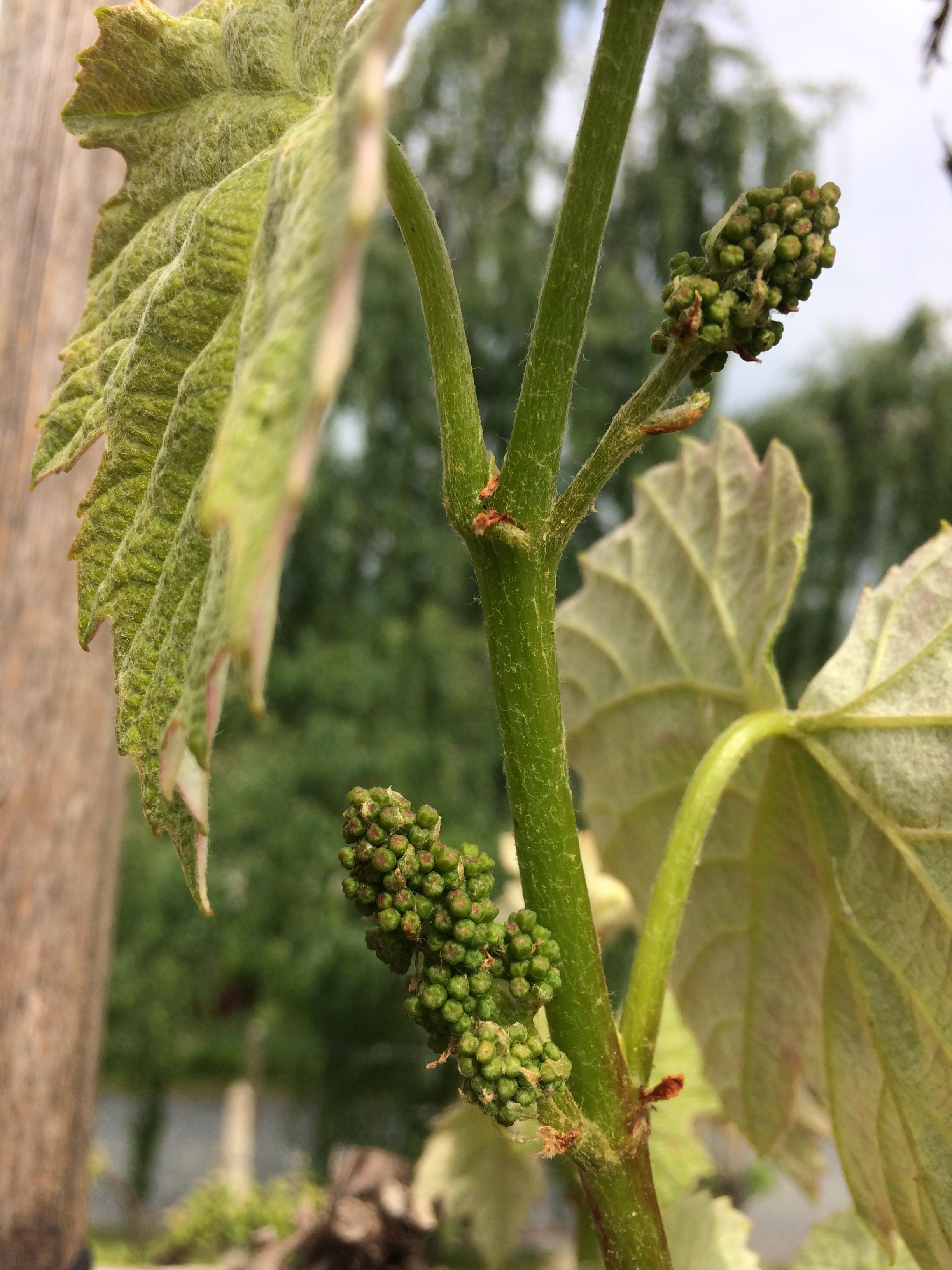 836E6520-CDE8-4C79-9FB2-F62D497539B4