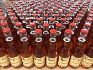 Burgi g'spritzt Spritzer Burgstallriegel Ein Schlückchen Freizeit trinkfertig Burgi g'spritzt Isabella Spritzer Weinbau Krobath Buschenschank Krobath