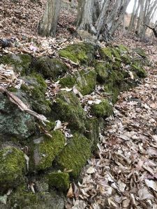 Burgstallriegel Weinbau Krobath Buschenschank Krobath Weißer Spritzer Burgi g'spritzt