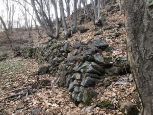 Burgstallriegel Weinbau Krobath Buschenschank Krobath Weißer Spritzer Burgi g'spritzt